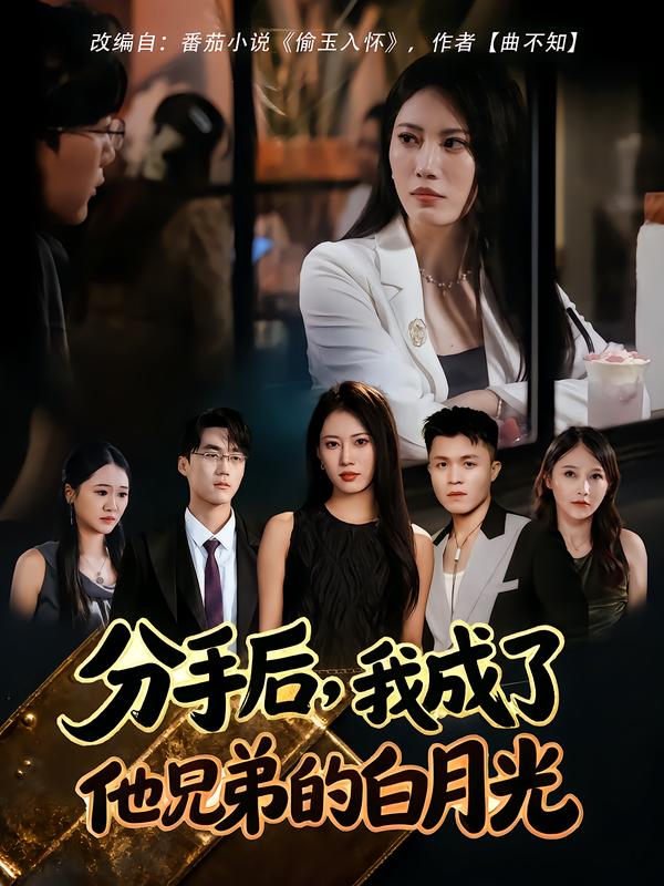 分手后-我成了他兄弟的白月光