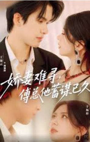 娇妻难寻，傅总他蓄谋已久