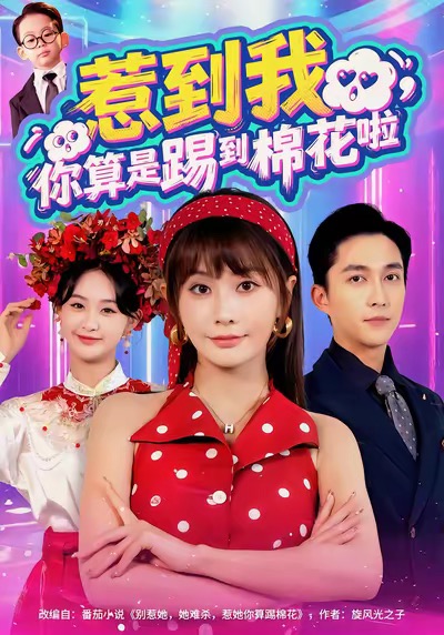 惹到我-你算是踢到棉花啦