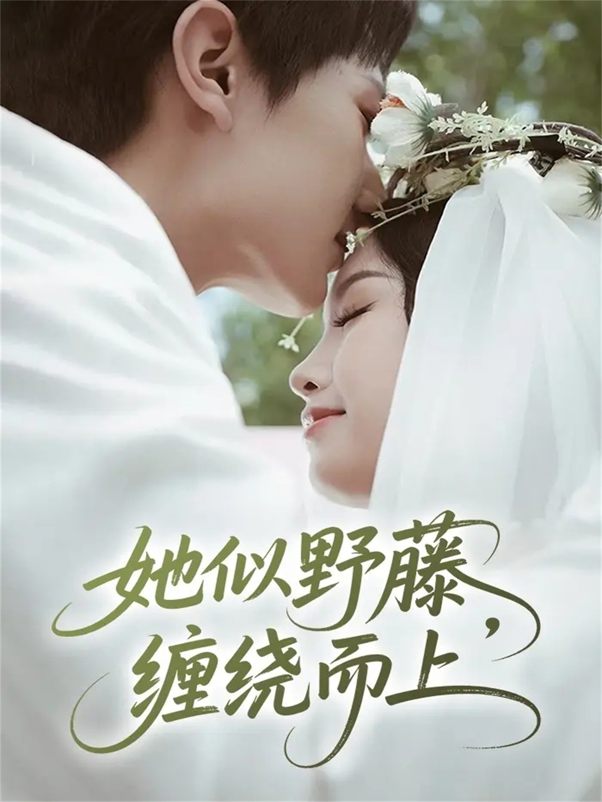 她似野藤-缠绕而上